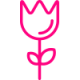 f-icon1
